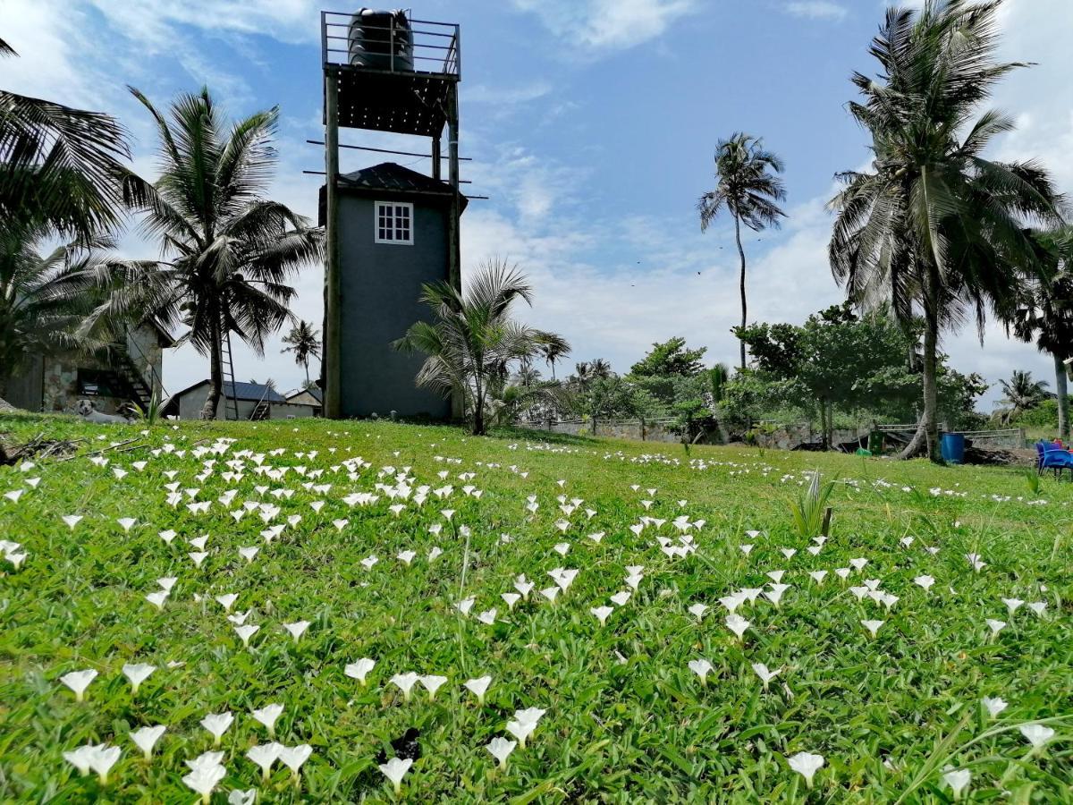 Afro Beach Eco Resort Butre Exterior photo