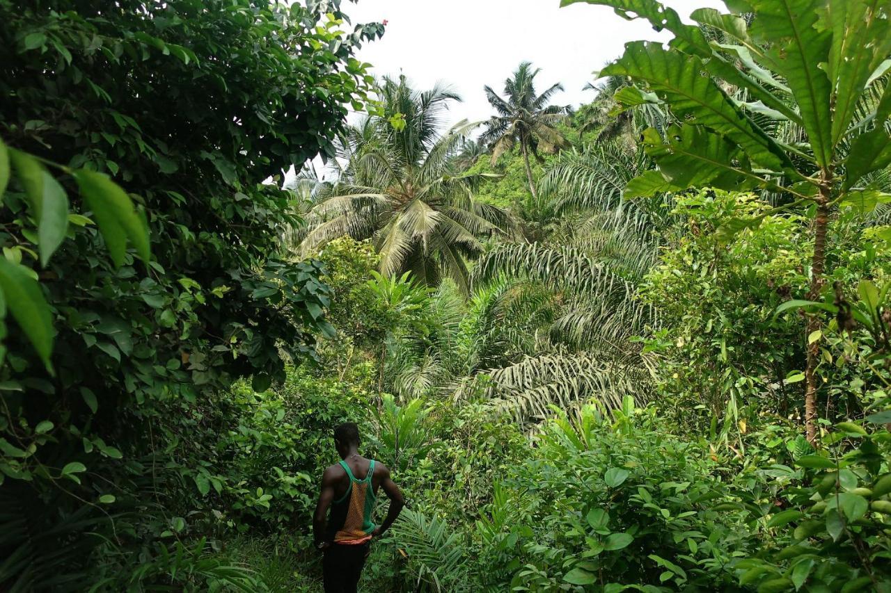 Afro Beach Eco Resort Butre Exterior photo