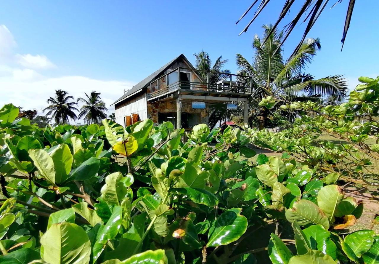 Afro Beach Eco Resort Butre Exterior photo