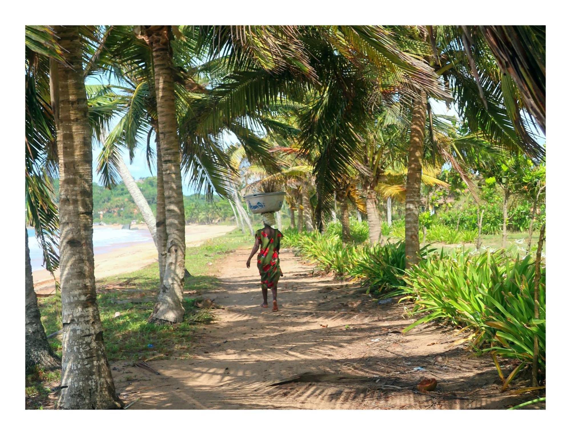 Afro Beach Eco Resort Butre Exterior photo